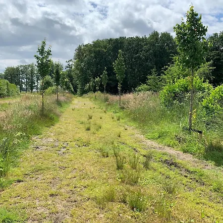 Montferland Near Bergh Castle, Cleaning Included 펜션 Beek Gem Montferland